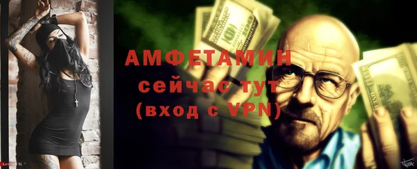 сатива Каменск-Шахтинский