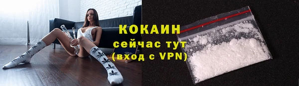 сатива Каменск-Шахтинский