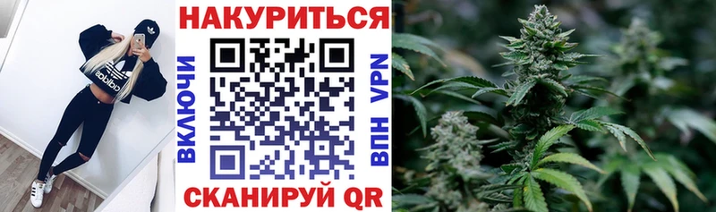 Купить где  Хвалынск  Бошки марихуана SATIVA & INDICA 